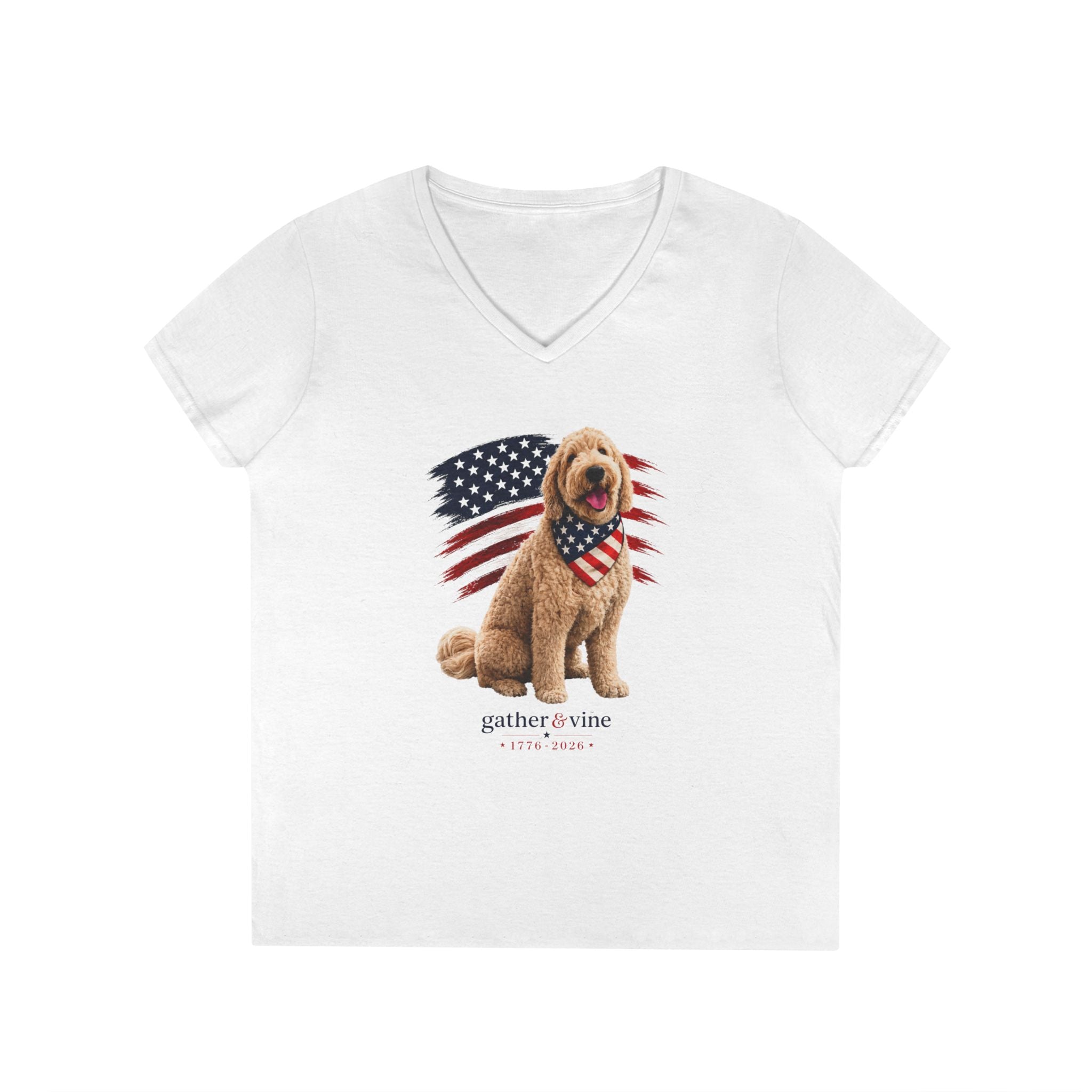 Special Edition Tango Ladies' V-Neck T-Shirt